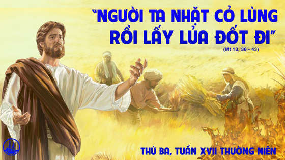 THỨ BA TUẦN 17 THƯỜNG NIÊN - năm a